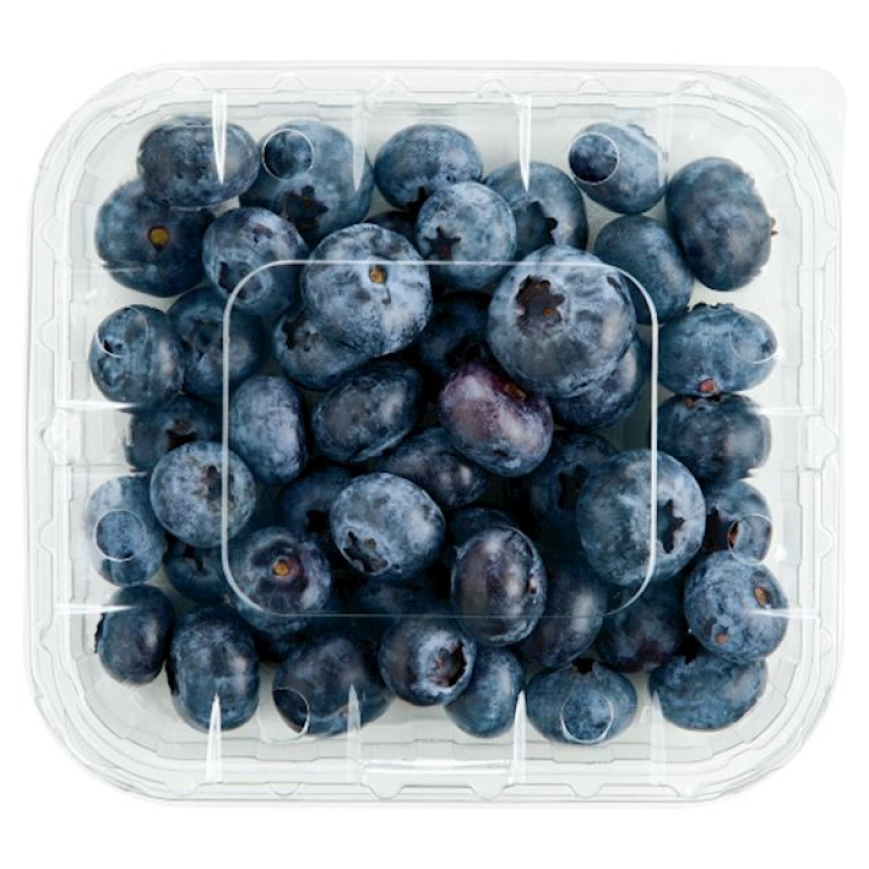 Blauwe Bessen. DAGPRIJS. dE PRIJS KAN DUS IETS AFWIJKEN !!!